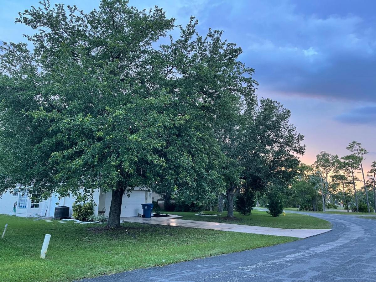 Weeki Wachee Guest Suite Spring Hill Eksteriør billede